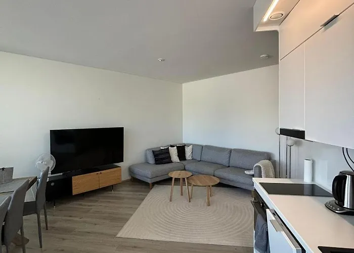 Luxury City Apartments, Valtakatu Sauna Apartment
